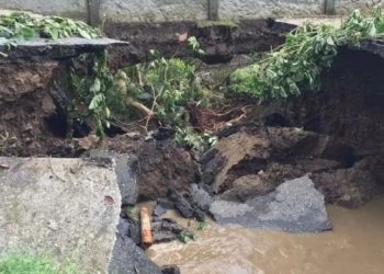 Foto Yanara Vivas / Diario de Los Andes