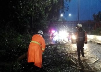 Foto vía El Tequeño