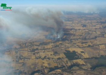 Vía Conaf - Incendios forestales