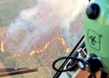 Incendio en el Parque Nacional Henri Pittier, ocurrido en enero de 2024